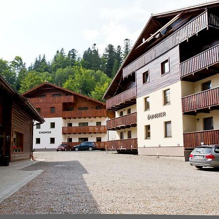 Apartman Chopok Juh Anka Horná Lehota Extérieur photo